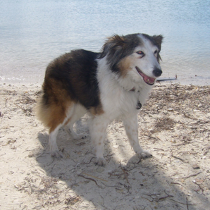 Beach Beauty
