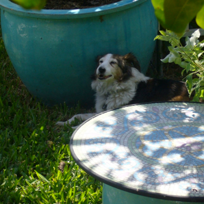Gardening