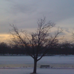 Half Frozen Lake at Twilight