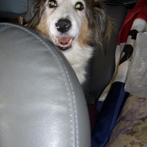 The Joy of the Road Trip